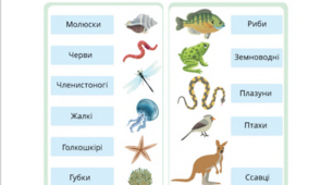 Класифікація тварин.