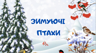 Презентація "Зимуючі птахи" , Квест-гра "Зимуючі птахи України" до Акції "Допоможемо зимуючим птахам"