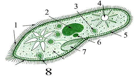 0400qyrd-c7f2-449x269.png