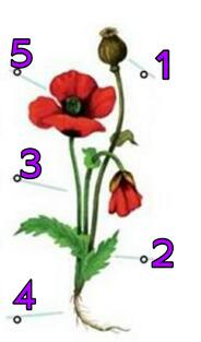 0400r3q4-2a5f-940x1595.jpg