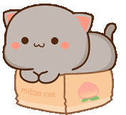 Cat In A Box GIFs | Tenor