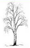 0400r94d-d61b-102x160.png