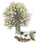 0400r94n-a2c6-129x144.png