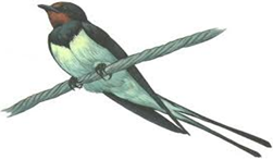 0400r98k-d33d-251x147.png