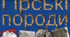 Гірські породи 3 клас НУШ