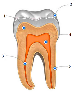 0400rl6p-56a9-253x306.png