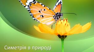 Симетрія в природі і на практиці