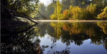 Реки и отражение в них