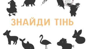 Знайди тінь предметів. Логіка