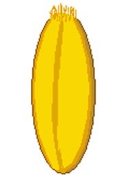0400rq9r-9b1e-180x264.png