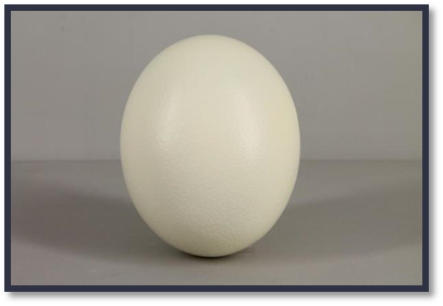 0400rqly-1ca7-407x281.png