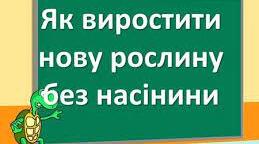 Як виростити рослину без насіння