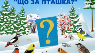 Акція "Допоможемо зимуючим птахам". Гра-загадка "Що за пташка?"