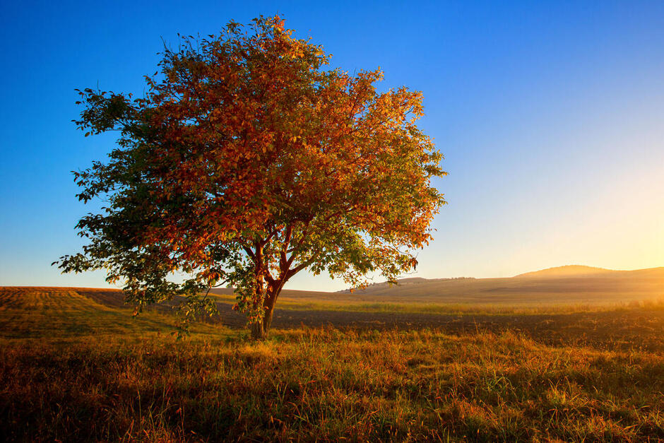 0400rtab-b21c-940x627.jpg