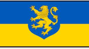 Український національний рух у Буковині й у Закарпатті. Хотинське повстання. Військова присутність Антанти на півдні України.