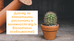 Догляд за кімнатними рослинами в залежності від їх біологічних особливостей. Квіткарництво (трудове навчання) 7 клас