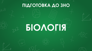 Загальні відомості про рослини. Тканина меристема