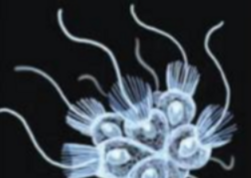 0400s5w5-9b73-251x178.png