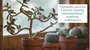 Потреби рослин у волозі ґрунту, температурі повітря, освітленні