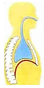 0400s92b-bf82-148x292.png