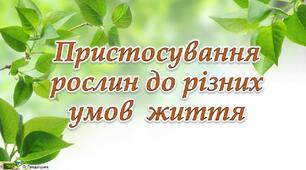 Пристосування квіткових рослин до різних умов життя