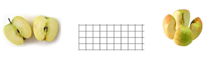0400saz6-f9a4-931x259.png