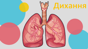 Дихання