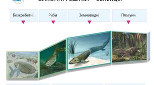 Діагностувальна робота з теми "Як тварини заселили Землю?"