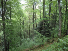 0400sbqg-d8a9-303x227.png