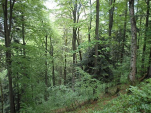 0400sbqg-d8a9-303x227.png