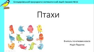 Презентація на тему 'ПТАХИ'