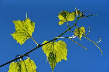 0400seq0-7db7-359x239.jpg