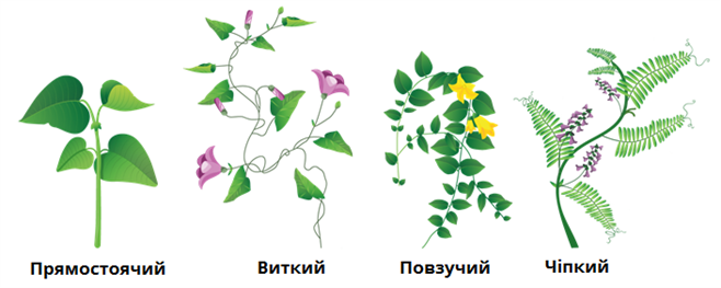 0400ses1-acc8-658x263.png