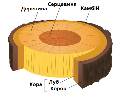 0400sewi-8587-411x329.png