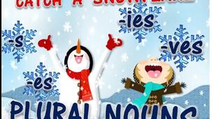 Тренажер  PLURAL NOUNS' CATCH A SNOWFLAKE"