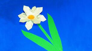 Виготовлення рослини, занесеної до Червоної книги України. Квітка - нарцис