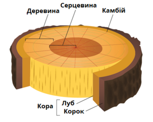 0400sfhz-e469-299x239.png