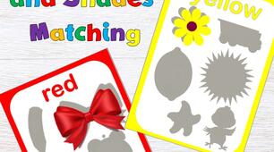 Гра "Pictures and Shades Matching"
