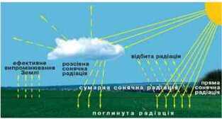0400sgo0-c6e7-313x168.jpg