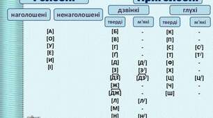 Приголосні й голосні звуки