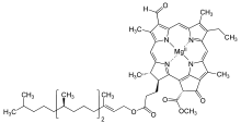 0400sjy6-4297-299x154.png