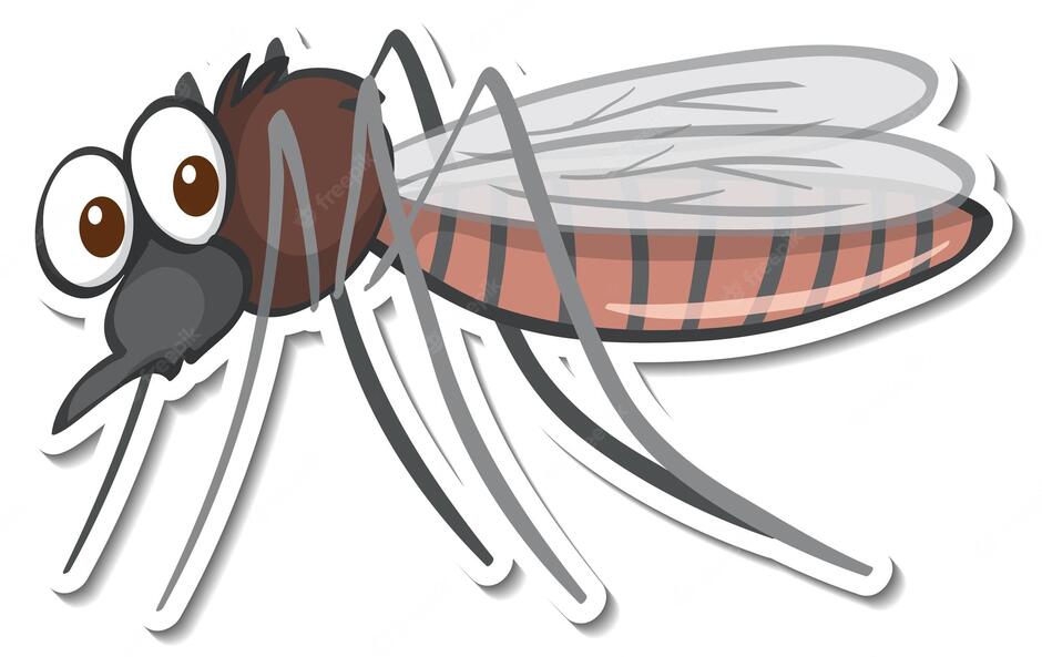 Mosquito Vectors & Illustrations for Free Download | Freepik