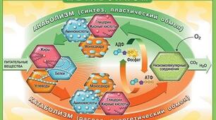 Контрольна робота 1