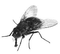 0400soc1-2fa5-200x178.jpg
