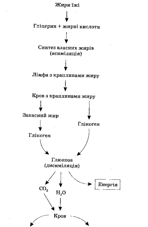 0400sqr0-9f78-484x741.png