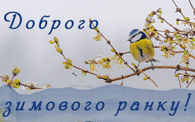 0400ss0x-8169-400x250.jpg