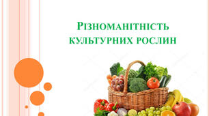 Різноманітність культурних рослин.Значення культурних рослин