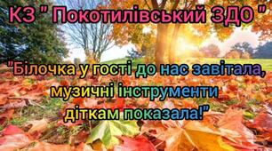 Музично-дидактична гра "Білочка у гості до нас завітала, музичні інструменти діткам показала!"