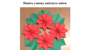 Презентація на тему "Виготовлення новорічного декору"