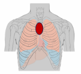 0400t1yc-e29c-160x147.png